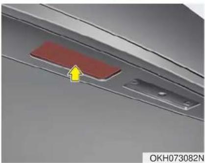 KIA K900 (2018) - Remplacement de l'ampoule de la lampe témoin latérale - 4