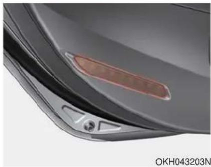 KIA K900 (2018) - Éclairage des portières - 1