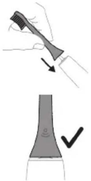 PHILIPS Sonicare ProtectiveClean 4300 - Ishni boshlash - 1