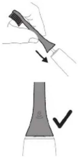 PHILIPS Sonicare ProtectiveClean 4300 - Zaciname - 1