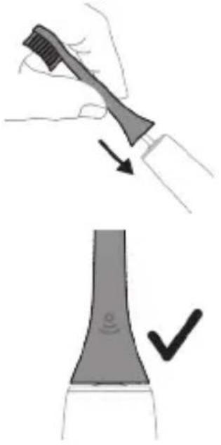 PHILIPS Sonicare ProtectiveClean 4300 - hu2hg ulutl - 1