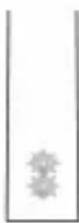PHILIPS Sonicare ProtectiveClean 4300 - XE - 2
