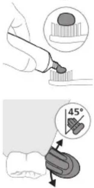 PHILIPS Sonicare ProtectiveClean 4300 - Borstningsanvisningar - 1