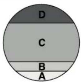 Sherco 125 SER (2018) - REGLAJE DEL CARBURADOR - 2