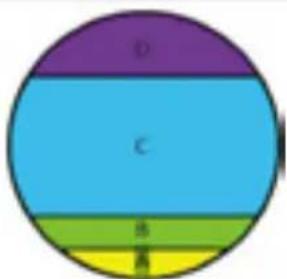 Sherco 250 SER (2016) - SETTING THE CARBURETOR - 2