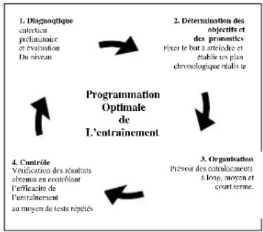 DKN Studio 7300 - Valutazione della vostra condizione fisica - 1