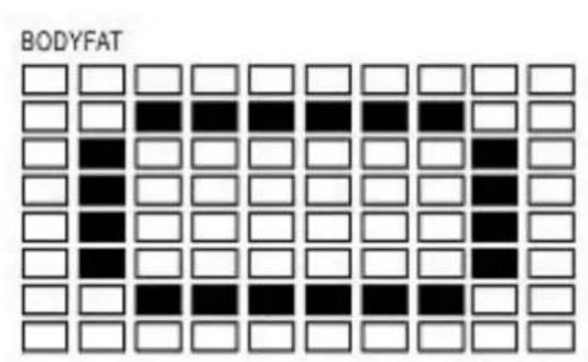 DKN T210 - Erfolg - 19