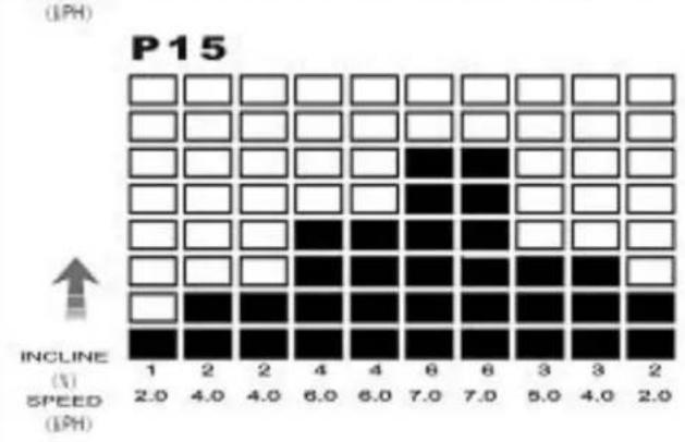 DKN T210 - Erfolg - 20