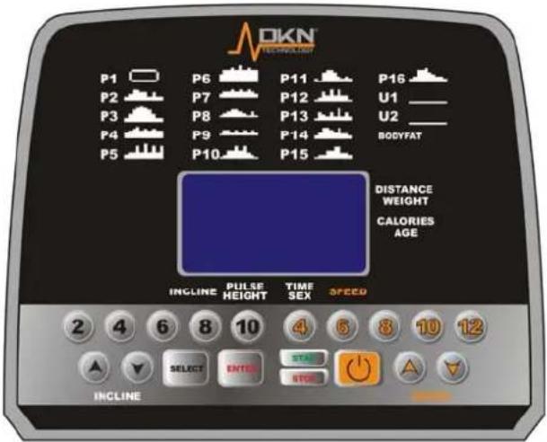 DKN T210 - Le desamos mucha diversion y exito con su entrega. - 1
