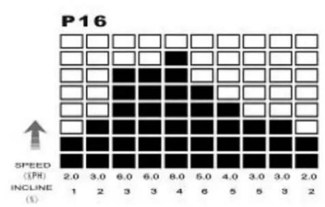 DKN T210 - Erfolg - 13