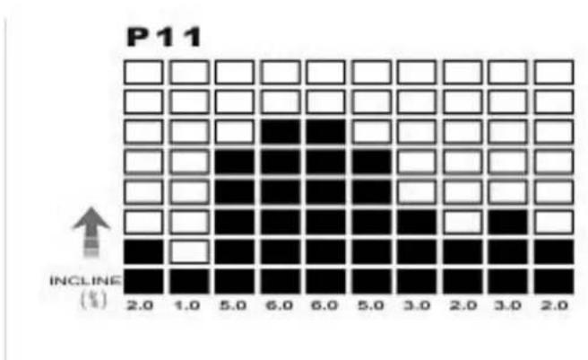 DKN T210 - Erfolg - 12