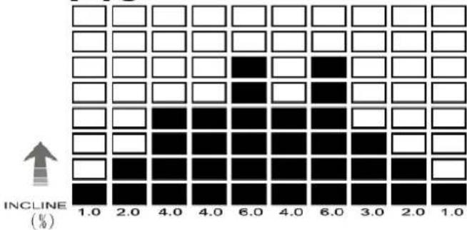 DKN T210 - Erfolg - 11