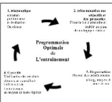 DKN Roadrunner - Valutazione della vostra condizione fisica - 1