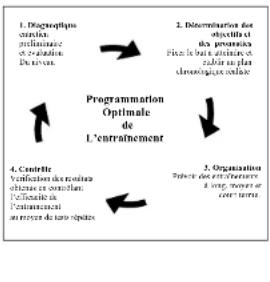 DKN Roadrunner - Evaluación de su condición física - 1