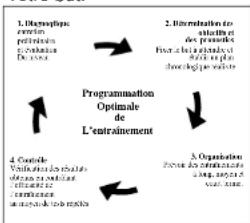 DKN RB3i - Contrôle de la condition physique - 1
