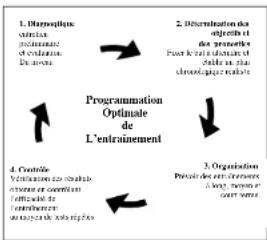DKN RB3i - Evaluación de su condición física - 1