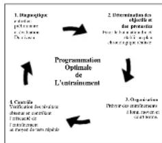 DKN AM6i - Evoluzione - 1