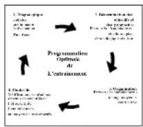 DKN AiRun X - Оценка вашего физического состояния - 1