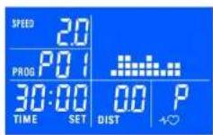 DKN AiRun X - Preset runs: - 1