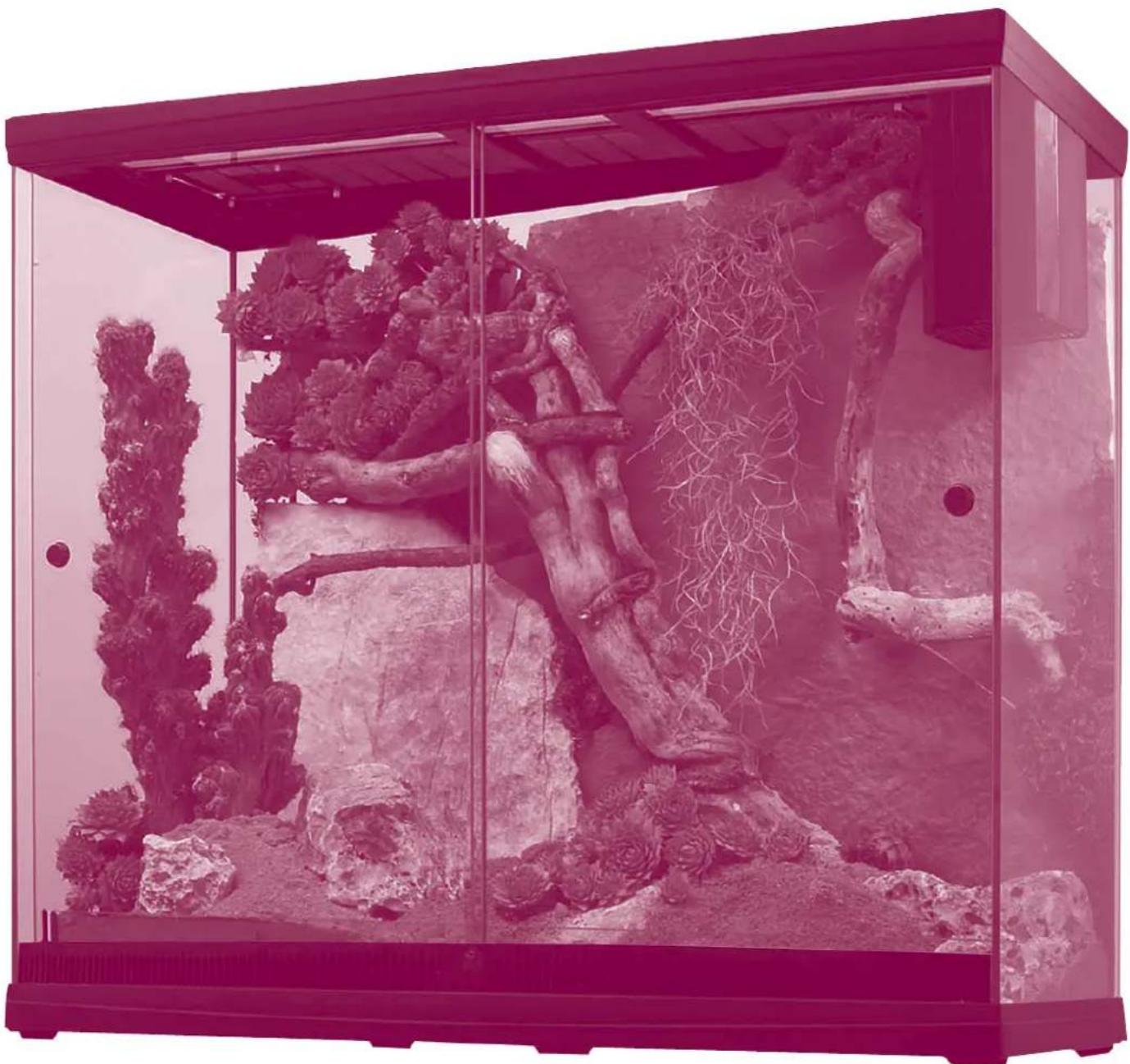 Ferplast Explora 50 - EXPLORA TERRARIUMS - 1