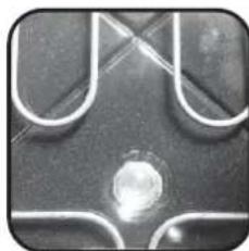 CANDY FXE649VX - Ovenverlichting - 3