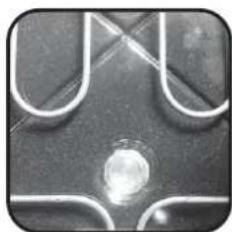 CANDY FXE649VX - Eclairage du FOUR - 3