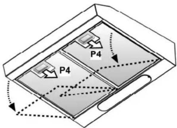 P4 P4