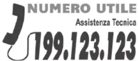 NUMERO UTILE Assistenza Tecnica 199.123.123