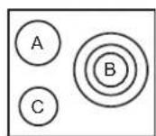 CANDY CH64CCB - Jabby C. Jahnowitz - 2