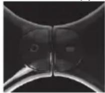 DENVER DBO10001 - Batteri- og betjeningsindikatorer - 1