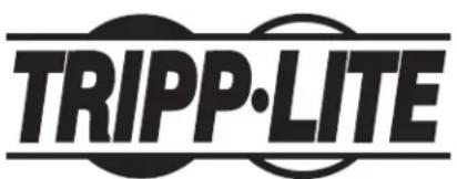 Tripp Lite E2SLD - Información de Cumplimiento con WEEE para CLIENTES y Recicladores de Tripp Lite (Unión Europea) - 2