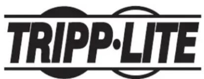 Tripp Lite E2SLD - Renselignements sur la conformité à la directive DEEE pour les clients de Tripp Lte et les recycleurs (Union européenne) - 2