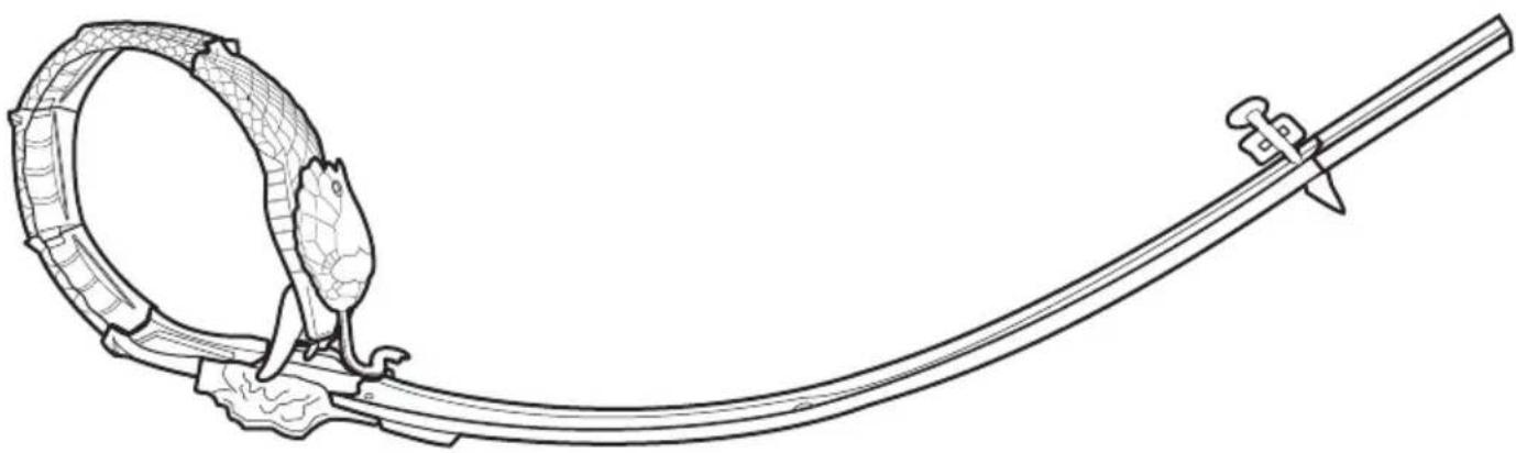 MATTEL Hot Wheels DWK95 - COBRA COIL - 1
