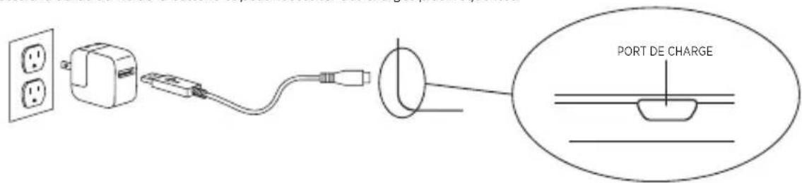 Zagg ID6ZFNBBF - Chargement - 1