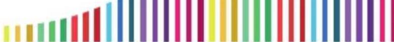 NGM-Mobile You Color E507 plus - E507 - 3