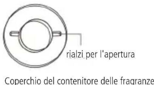 Sonnenkönig Harmony - Collocare i fiori profumati - 2