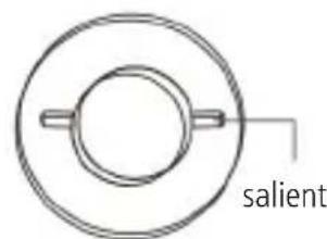 Sonnenkönig Harmony - Placing the dried flower - 2