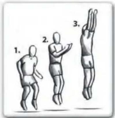 EXIT Elegant Premium - BASIC SKI LL 1: The basic bounce - 1