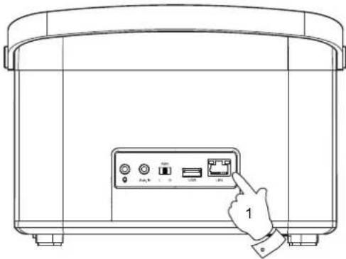 ROBERTS R1 - Indicateurs de connexion RJ45 - 1