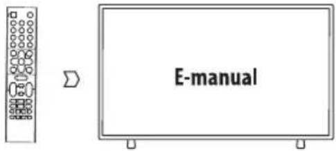 TESLA 49S901SUS - ОСНОВНА РАБОТА - 1