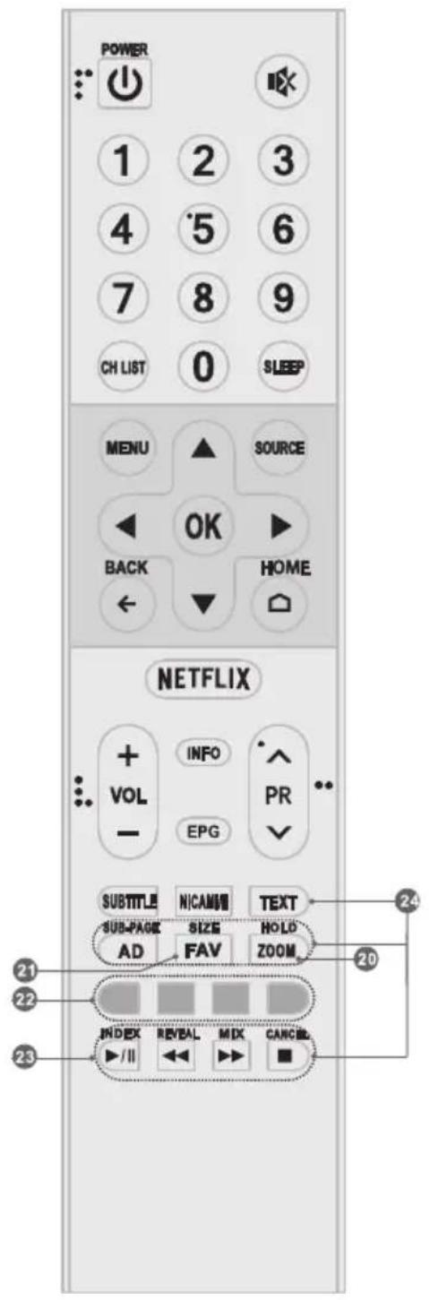 TESLA 49S901SUS - Telecomandă (RC A) - 2