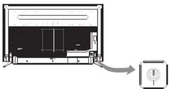 TESLA 49S901SUS - Bouton TV - 1