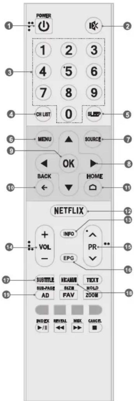 TESLA 49S901SUS - Telecomandă (RC A) - 1