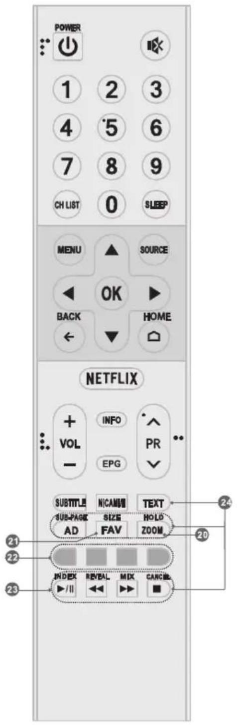 TESLA 49S901SUS - Télécommande (RC A) - 2