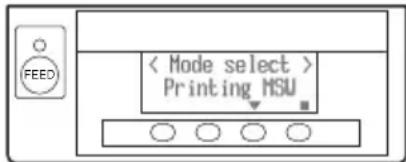 CITIZEN CTS851II - Stampa delle impostazioni dei memory switch - 1