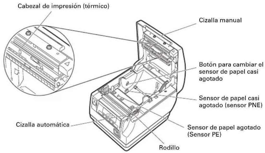 CITIZEN CTS851II - Interior de la tapa del papel - 1