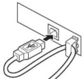 CITIZEN CTS851II - Conexión de los cables de interfaz - 4