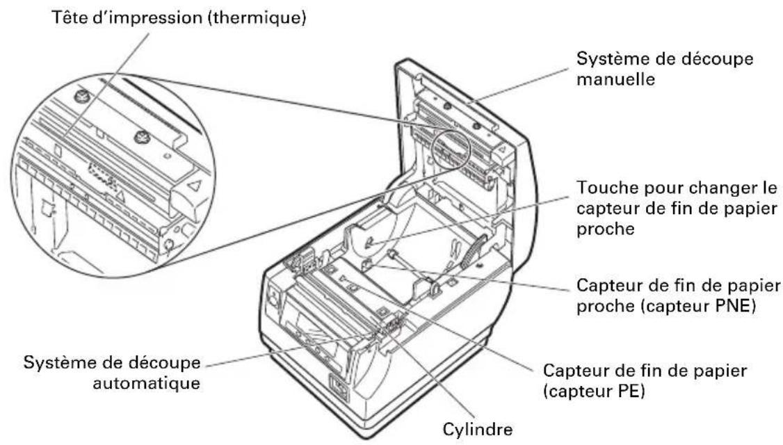 CITIZEN CTS851II - À l'intérieur du capot papier - 1