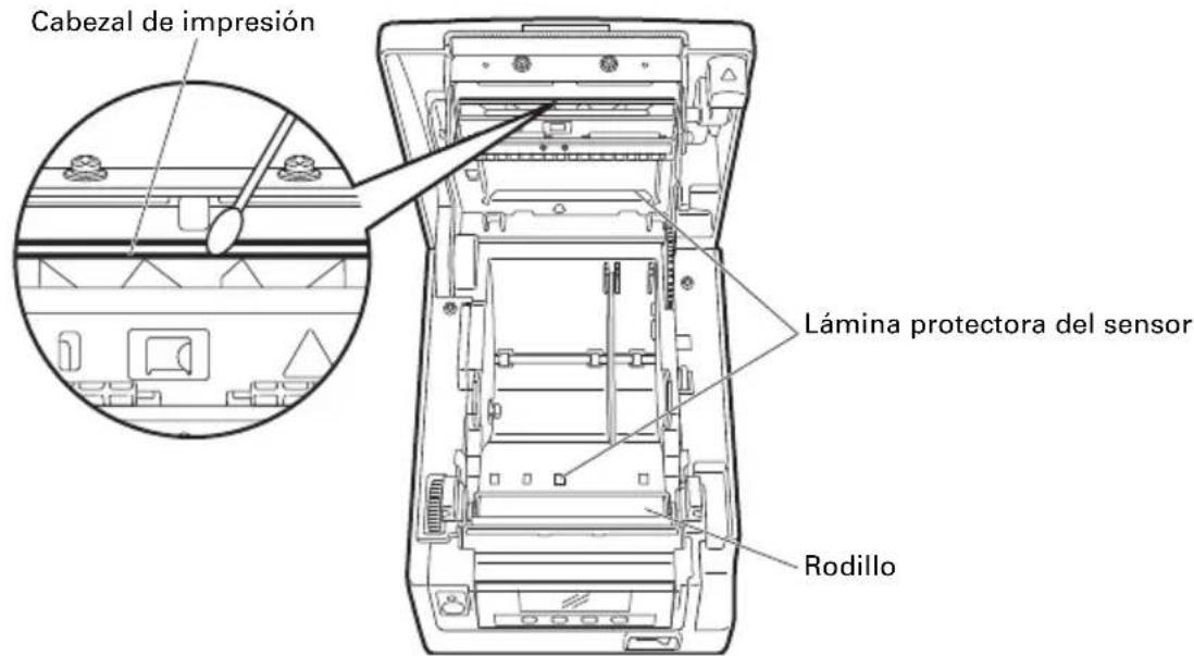 CITIZEN CTS851II - Limpieza periodica - 1