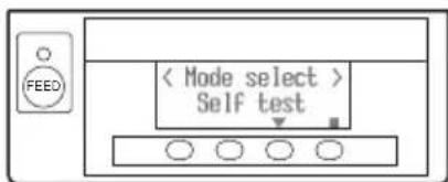 CITIZEN CTS851II - Selbsttest - 1